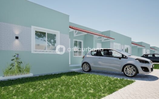 Perspectiva 01