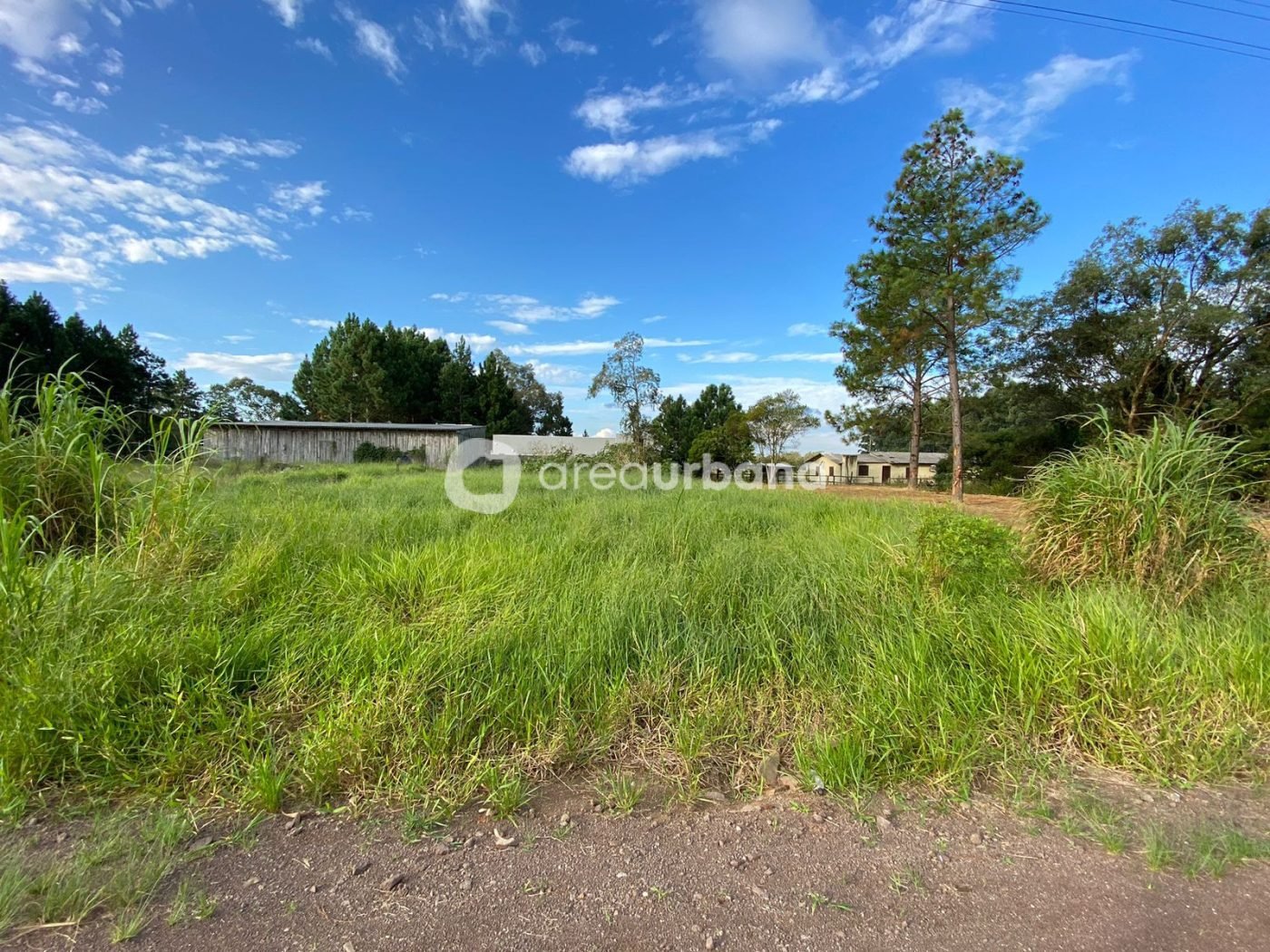 WhatsApp Image 2023-06-05 at 09.09.54 (1)