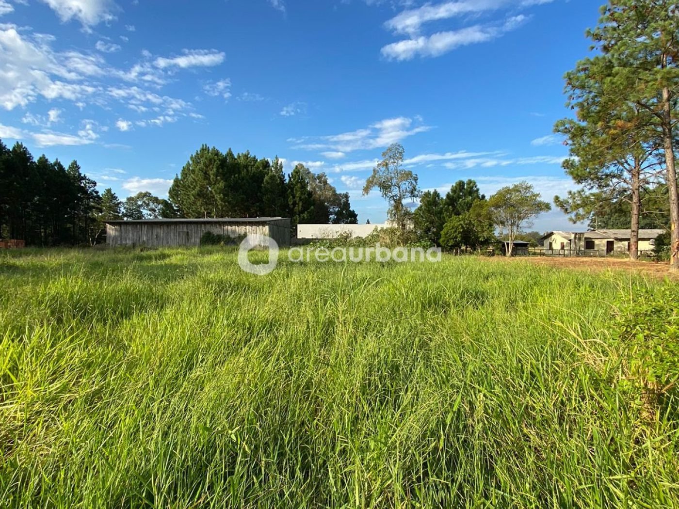 WhatsApp Image 2023-06-05 at 09.09.54