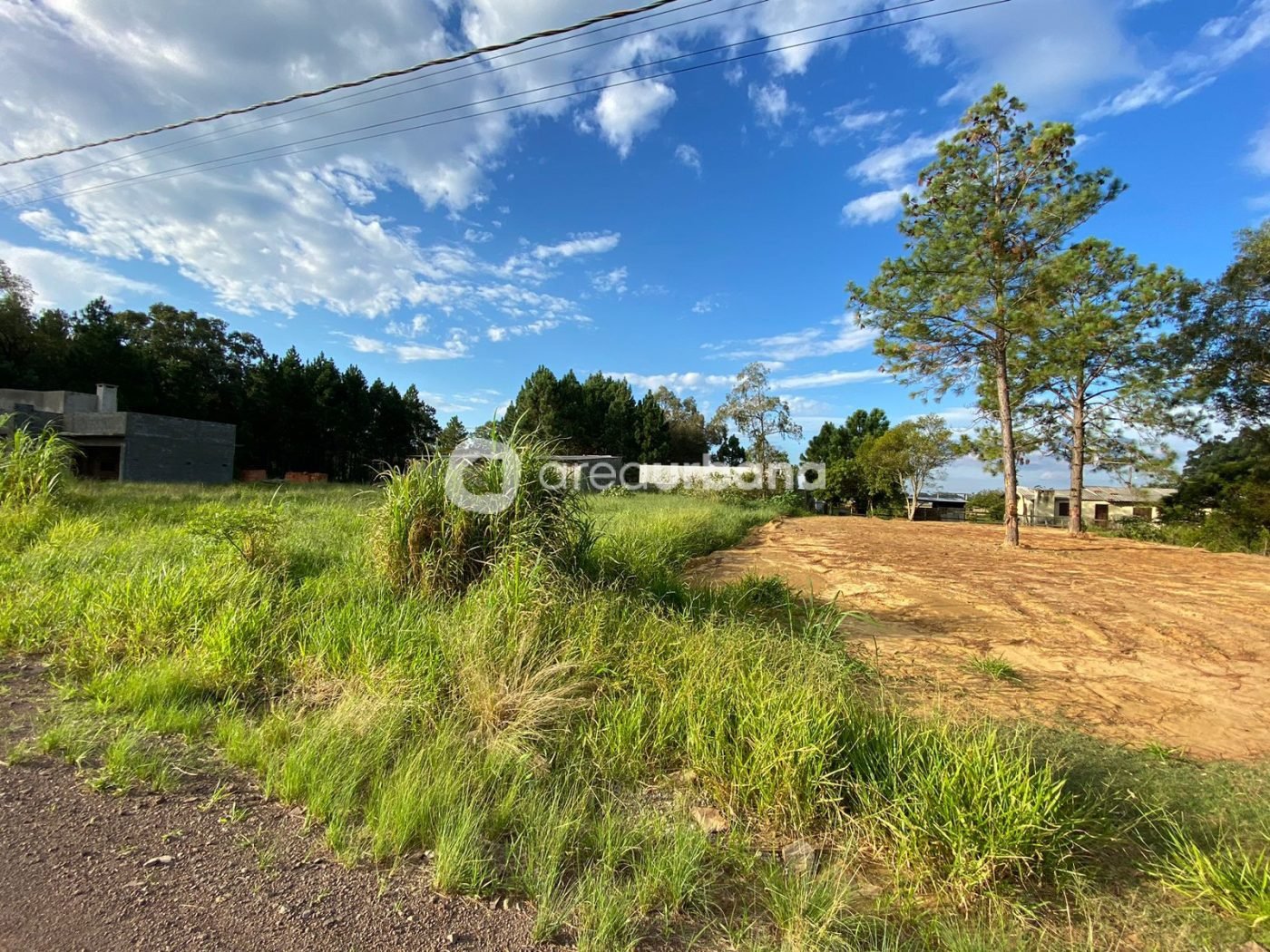 WhatsApp Image 2023-06-05 at 09.10.34