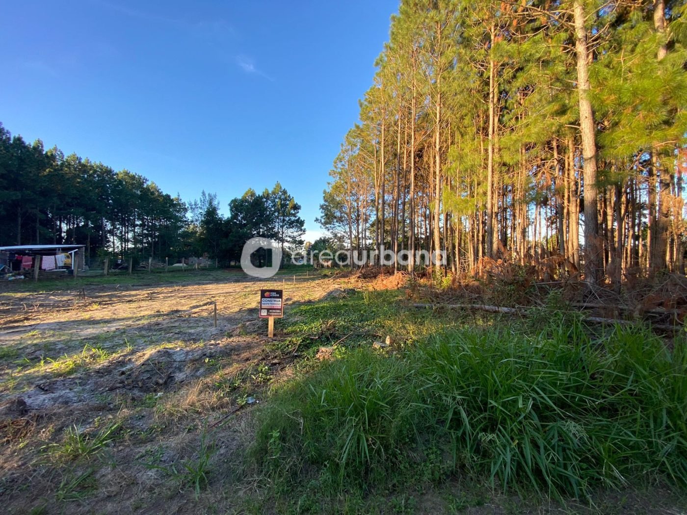 WhatsApp Image 2023-06-05 at 09.32.20