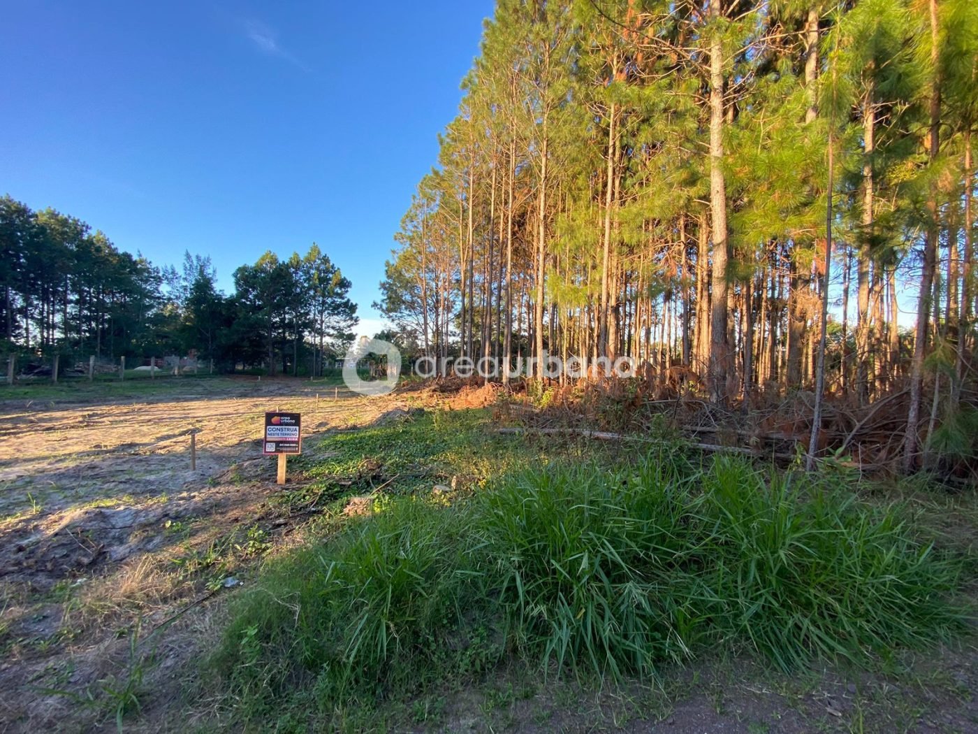 WhatsApp Image 2023-06-05 at 09.32.21